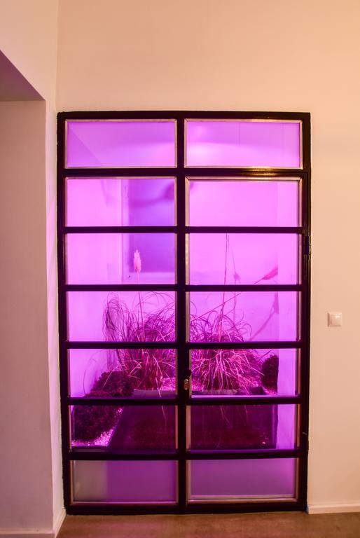 K89 Designer Studio บูดาเปสต์ ภายนอก รูปภาพ